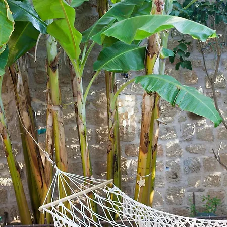 Villa Old Town Classic House Rhodes